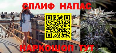 прущие грибы Малгобек