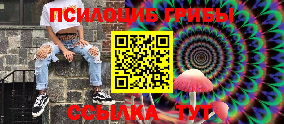 Верхняя Пышма  Галлюциногенные грибы Psilocybe  Вход с VPN 
