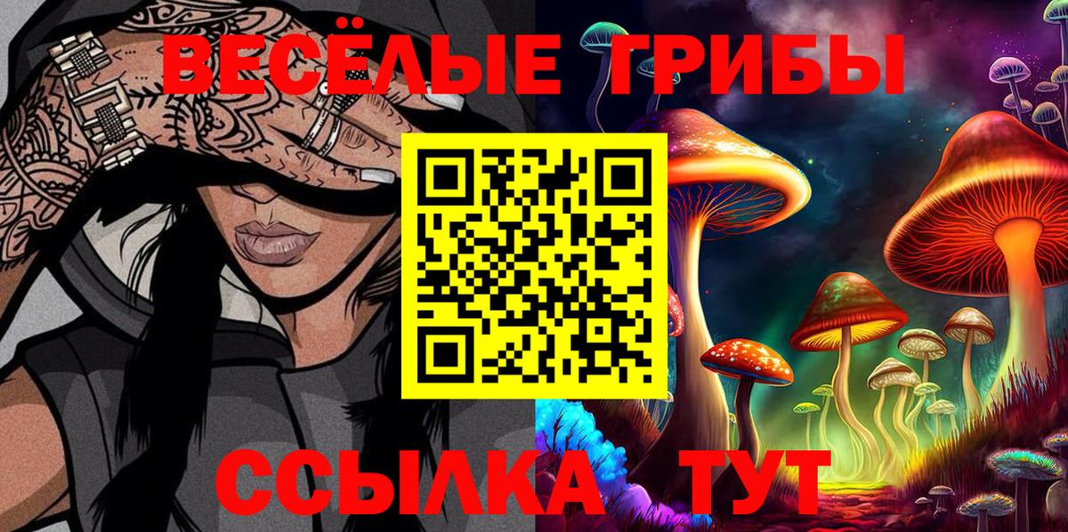 Псилоцибиновые грибы Psilocybe Верхняя Пышма