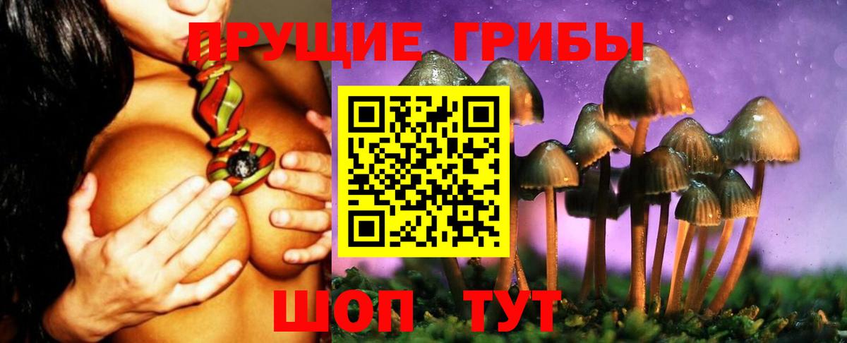 Галлюциногенные грибы Psilocybine cubensis  Верхняя Пышма 